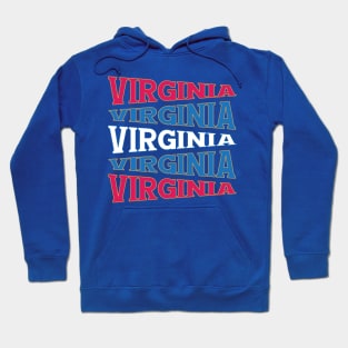 NATIONAL TEXT ART USA VIRGINIA Hoodie